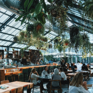 hanging plants in a greenhouse restaurant